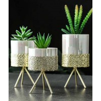 Golden And Silver Color Unique Design