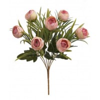 Ted Bakerpure Flower Rose