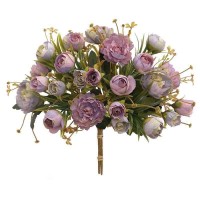 Ted Bakerpure Light Pruple