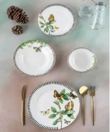 Dexter 24 Piece Dinnerware Set for 6 Persons