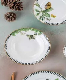 Dexter 24 Piece Dinnerware Set for 6 Persons